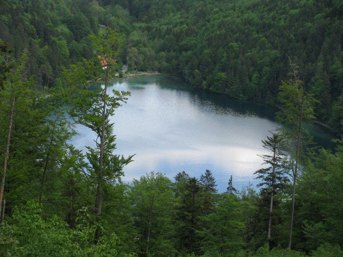 Blick auf den Alatsee